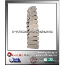 Customized Rare Earth Magnets